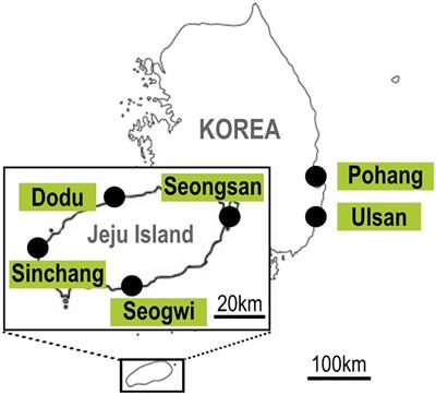 First report of Coolia palmyrensis in Korea: seasonal and spatial distribution of C. palmyrensis and C. malayensis in Korean coastal waters